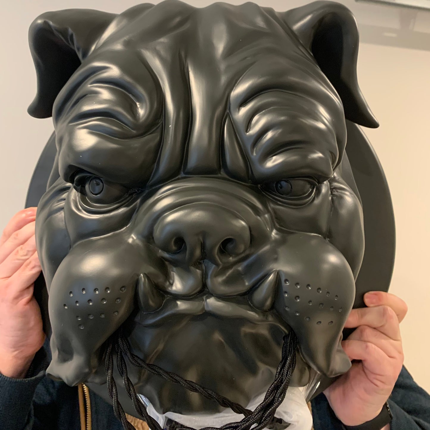 Bulldog Wall Lamp