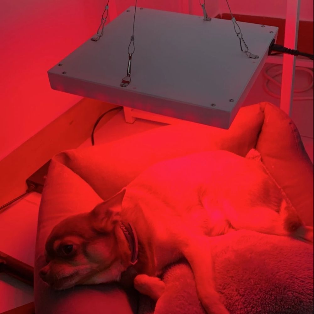 Red Light Therapy Panel 45W LED